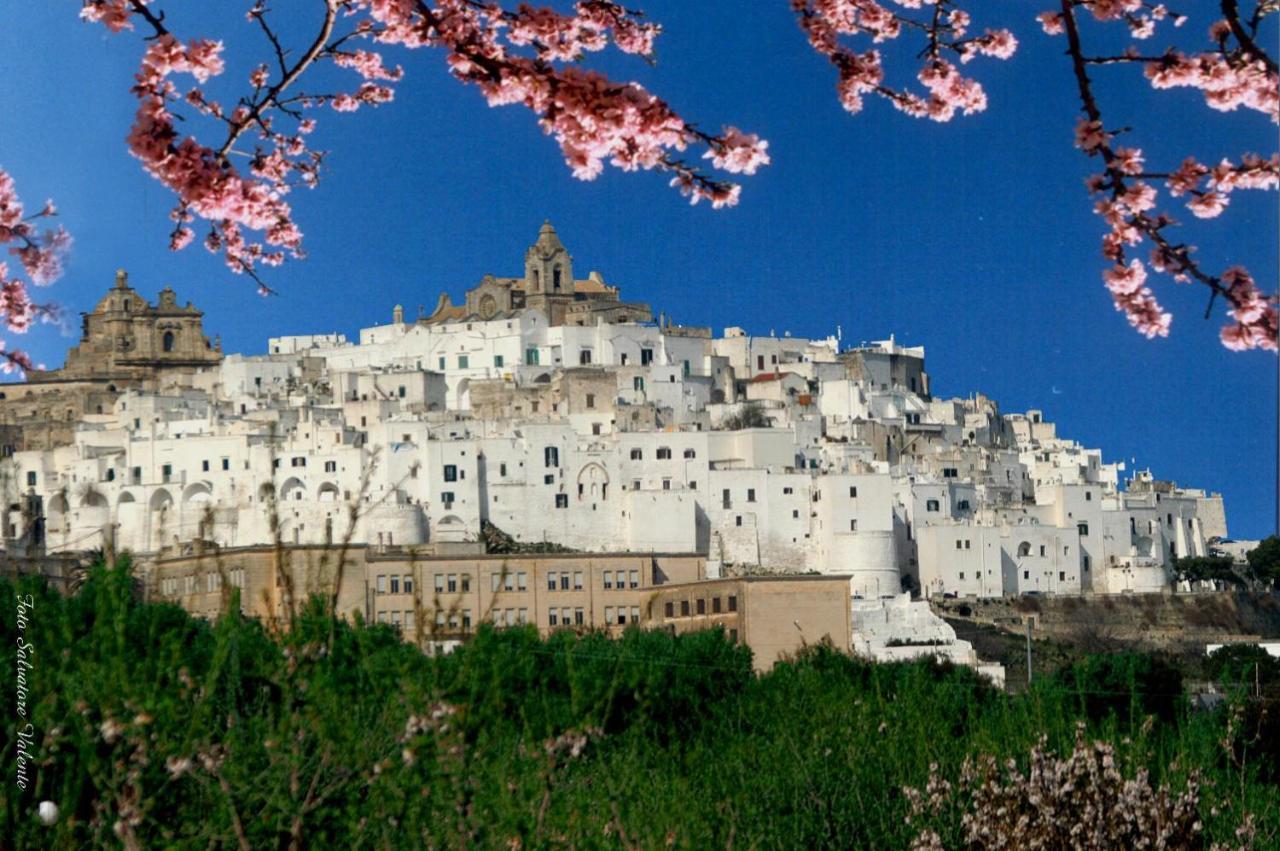 فندق Centro Di Spiritualita Madonna Della Nova أوستوني المظهر الخارجي الصورة